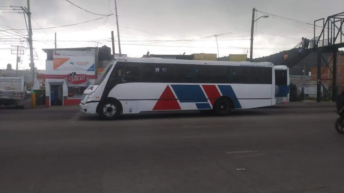 TRANSPORTE AMOZOC 2